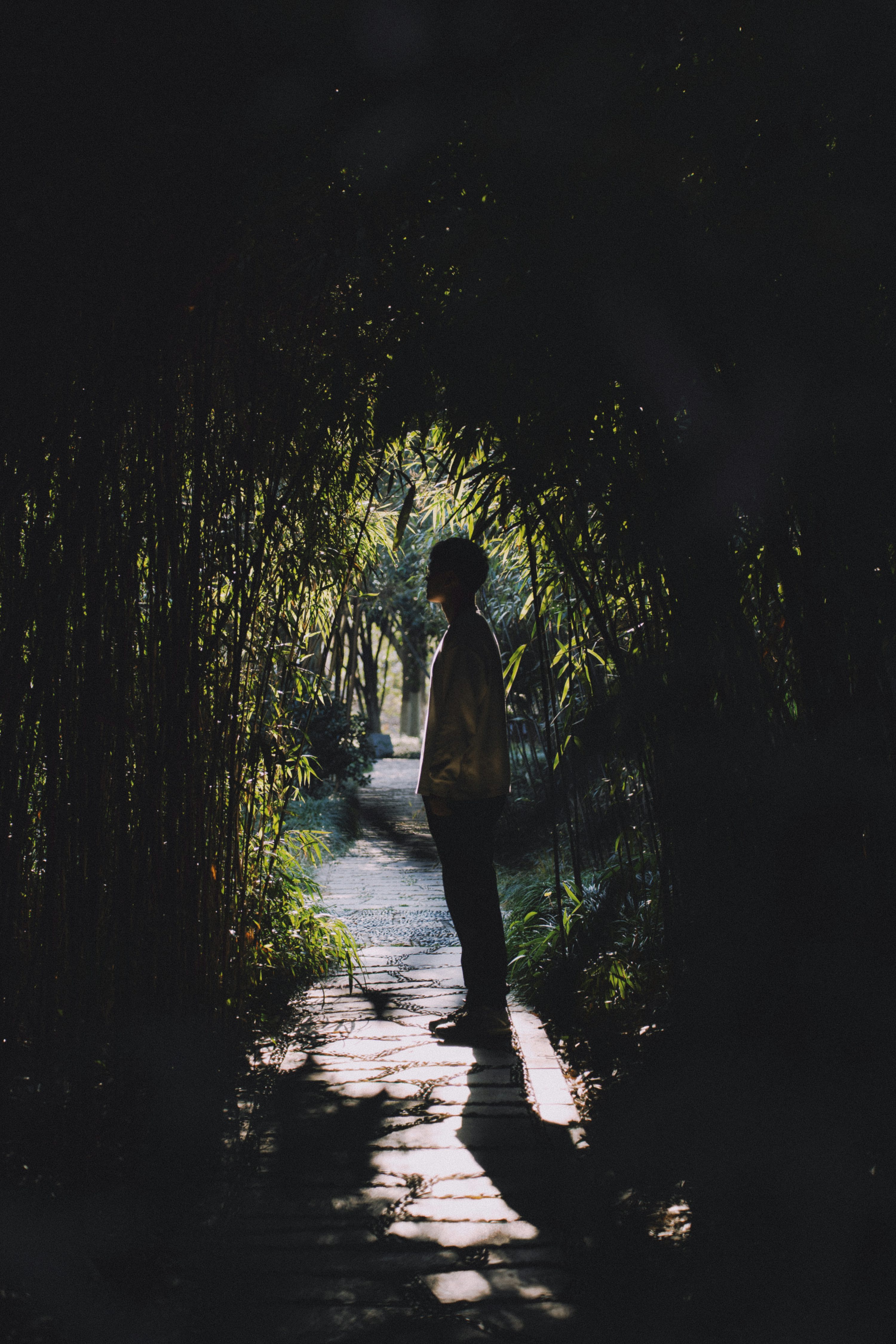 Dark path alone