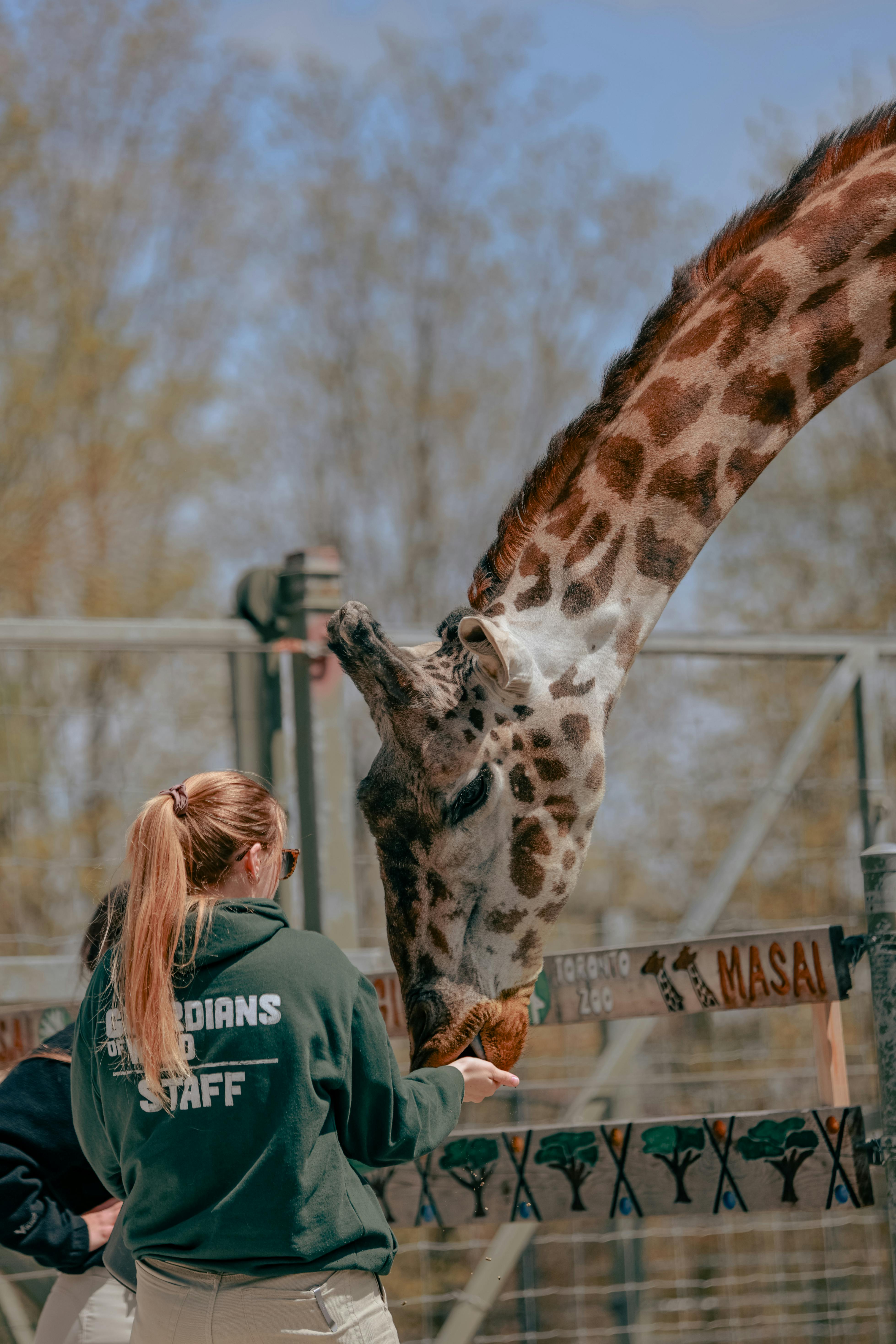 zoo