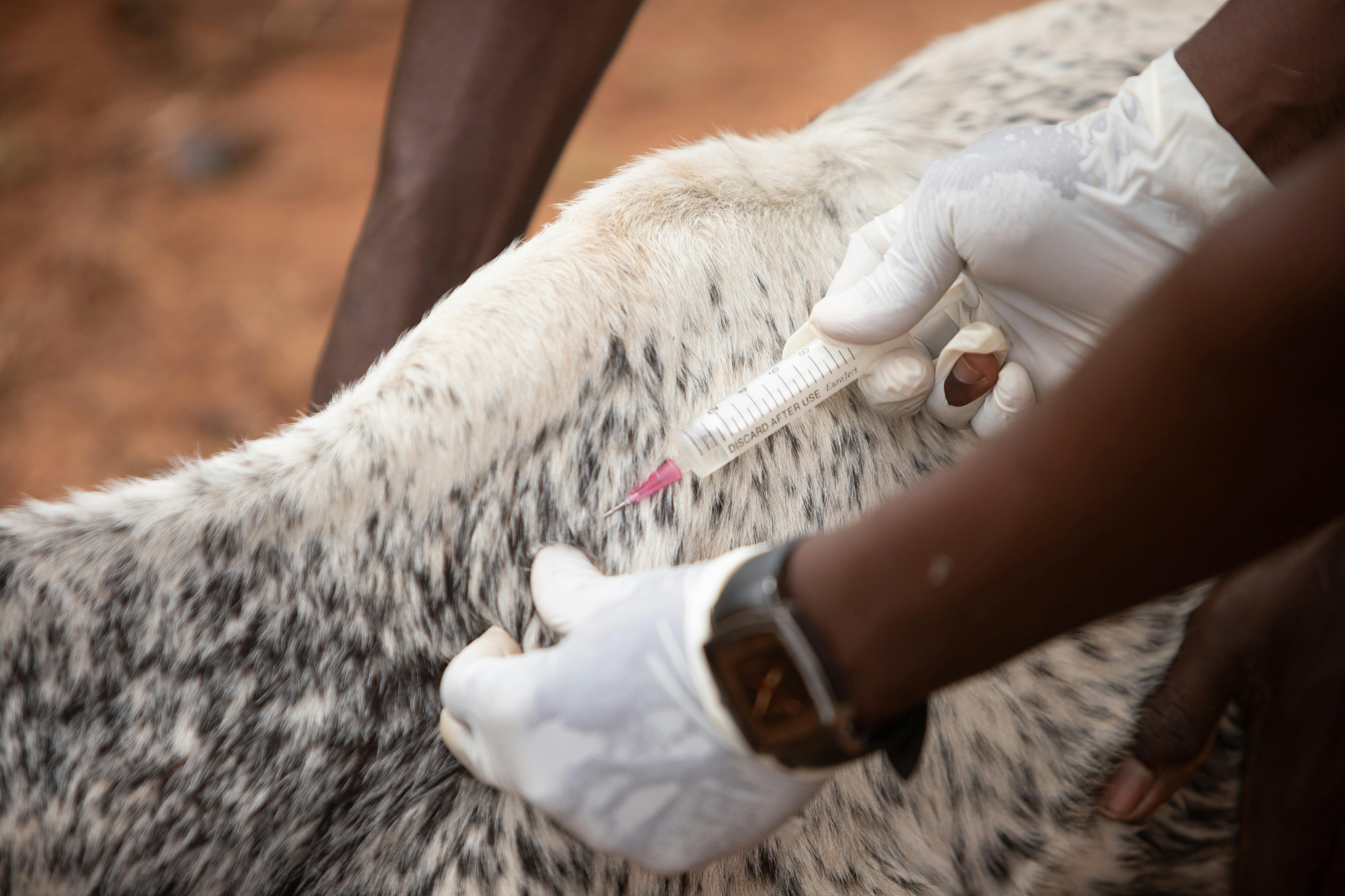 serious animal diseases.